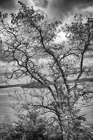 Rocky Top Trail - Lake of the Ozarks State Park