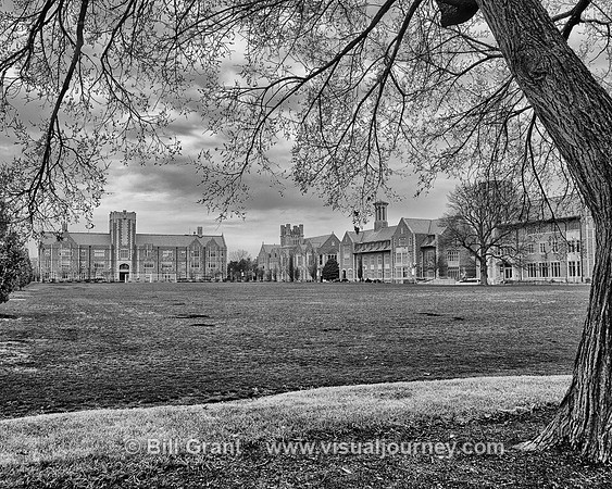 Washington University in St. Louis