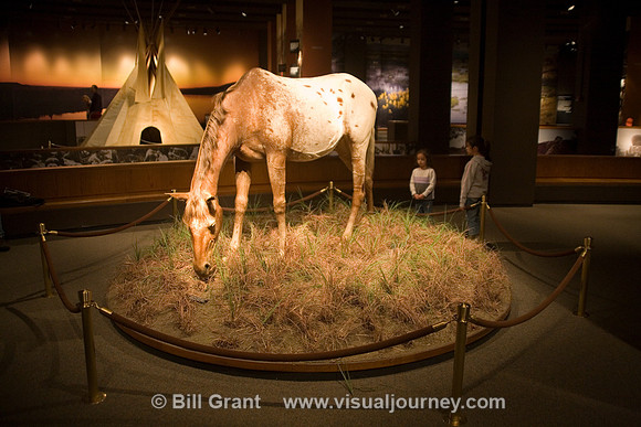 Museum of Westward Expansion
