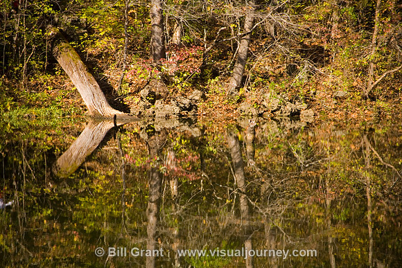 Ha Ha Tonka State Park